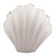 White Sea Shell Ceramic Wine Stopper 